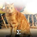 The Hidden Lives of Pets