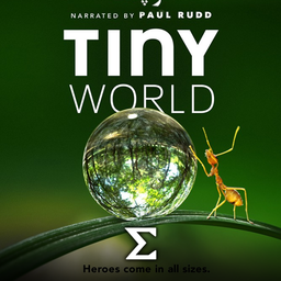 Tiny World