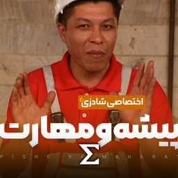 پیشه و مهارت