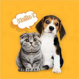 Dog & Cat Translator Prank App