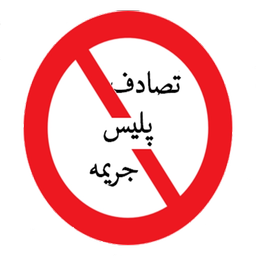 Accident+Police+Fine (special 1395)
