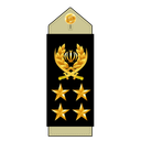 درجه های نظامی