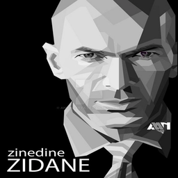 Bald handsome (Zidane)