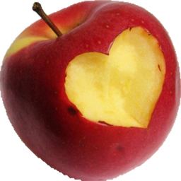 نکاتی که باید در مورد ازدواج بدانید