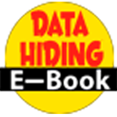 Data Hiding Techniques