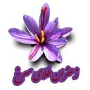 زعفران طلای سرخ