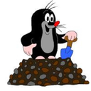 کارتون موش کور