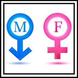 Male and female psychology