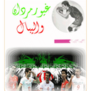 volleyball iran