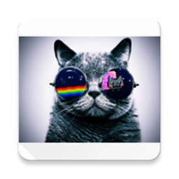 ادیتور صورت