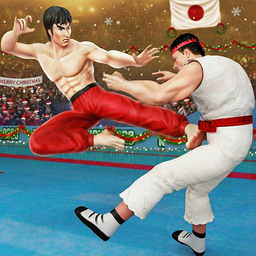 Karate Fighter: Fighting Games