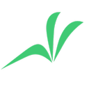 فادیتا