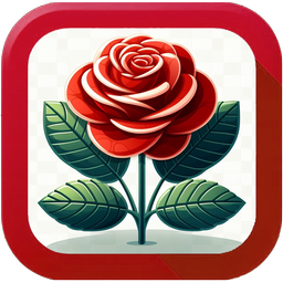 Rose Town | Snapp Flowers