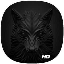 Black Wolf Wallpapers HD 4K