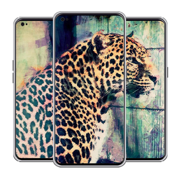 Cheetah Leopard Wallpaper