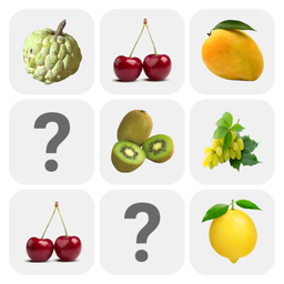 Picture Match : Classic Puzzle
