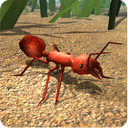 Fire Ant Simulator