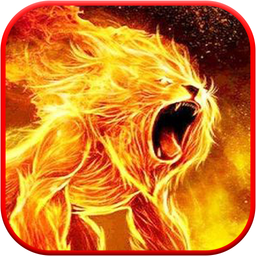 Lion Wallpaper HD 🔥