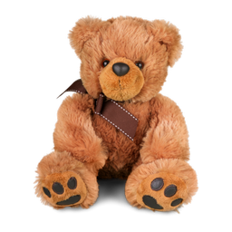 Woki Kids Flash Cards: 1-5 yrs