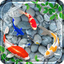 Koi Pet Fish Live Wallpaper