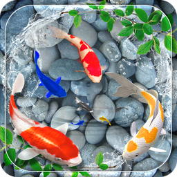 Koi Pet Fish Live Wallpaper
