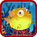 Fish Puzzles