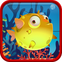 Fish Puzzles