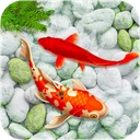 KOI Fish Live Wallpaper : New fish Wallpaper 2020