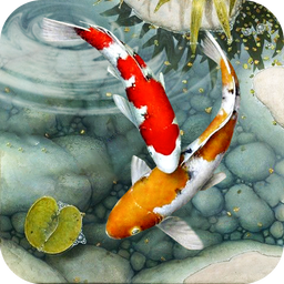 Fish Live Wallpaper free: Koi Fish Backgrounds HD