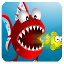 Fish Feeding