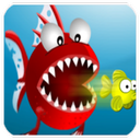 Fish Feeding