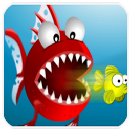 Fish Feeding