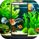 4D Fish Tank Live Wallpaper