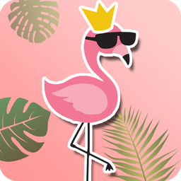 Flamingo Wallpaper