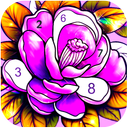 Flew Color by Number