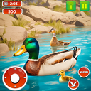 Village Duck Life Bird Game