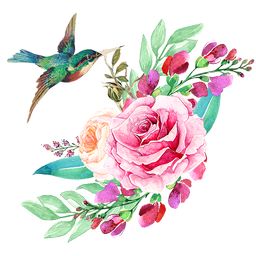 Flowers Stickers for WhatsApp