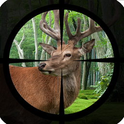 Deer Hunting - Expert Shooting