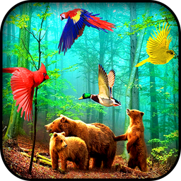 Forest Birds Live Wallpaper