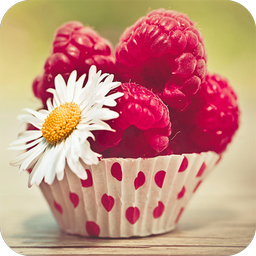 Fruit Wallpapers