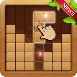 Wood Block Puzzle Game 2019