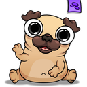 Pug - پاگ