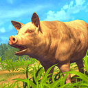 Pig Strike Simulator Games