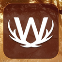 Word Wild – کلمات و حیات وحش