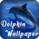 Dolphin wallpapers