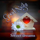 Good Night good evening images