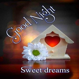 Good Night good evening images