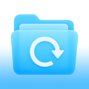 Deleted File Recovery