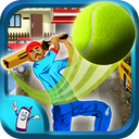 Cricket Street Cup