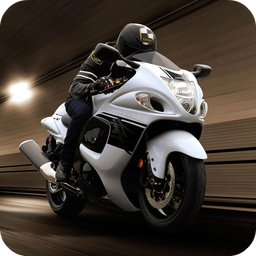 Super bike clearance hayabusa price